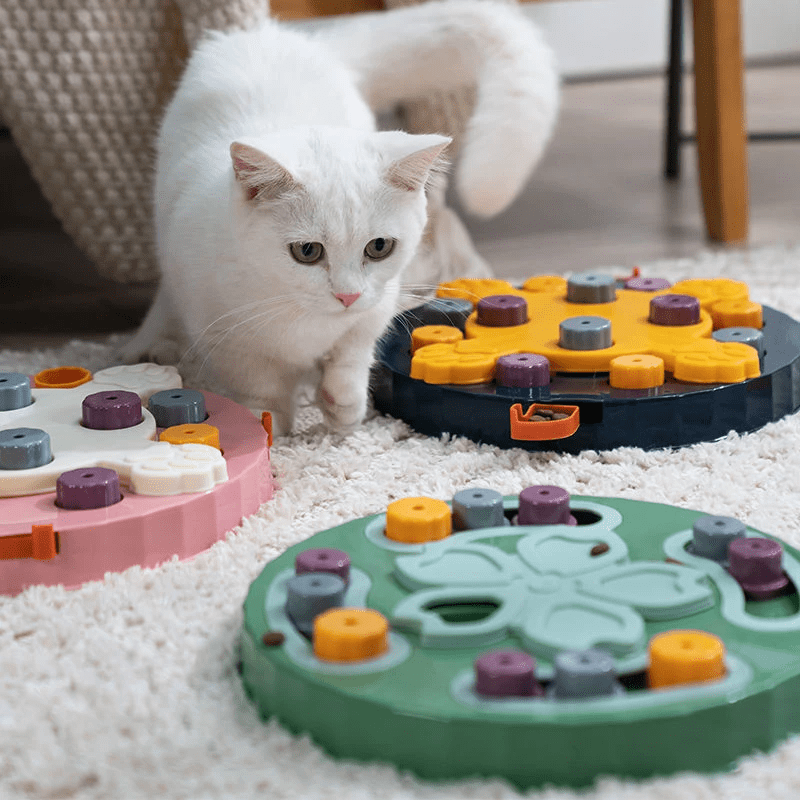 Puzzle de fouille interactif pour chien et chat