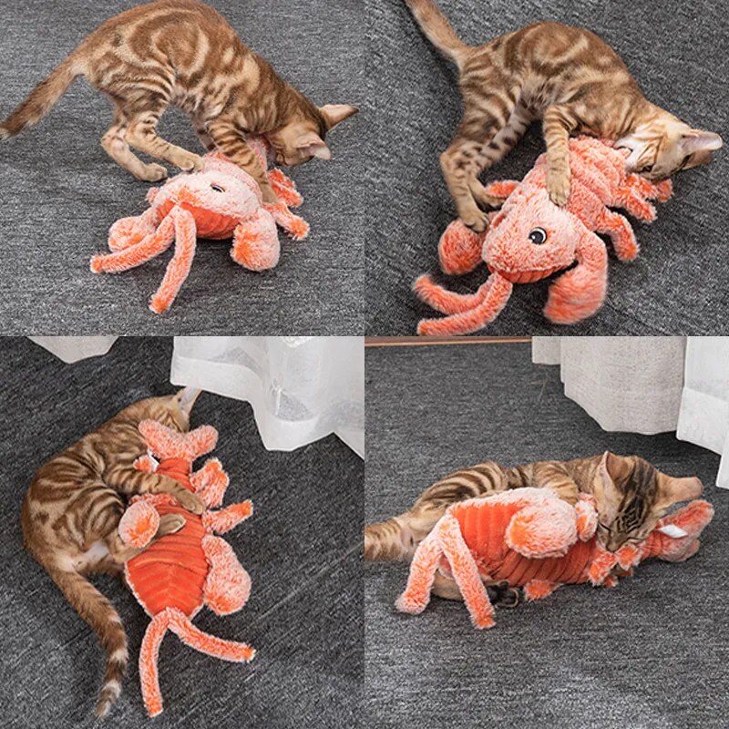 Jouet interactif pour animaux - Ecrevisse