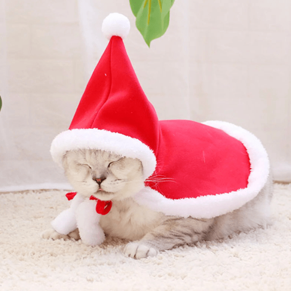 Déguisement pour chat - Cape Père Noël