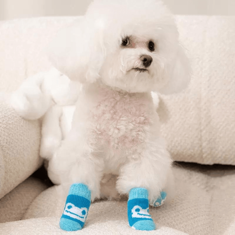 Chaussettes pour chien - Bleu Grenouille