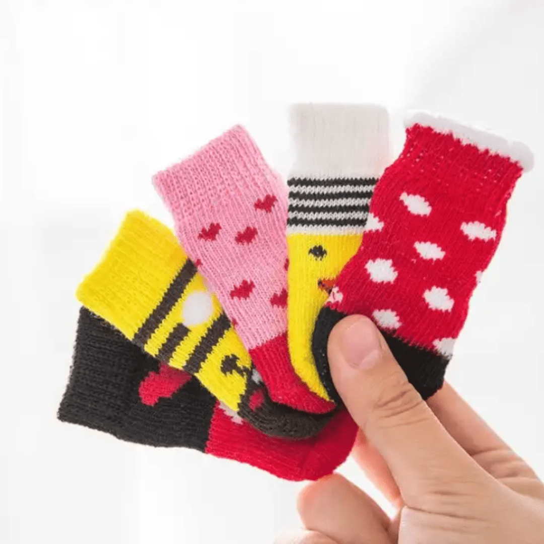 Chaussettes pour chien - Noël