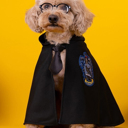 Déguisement pour chat et chien - Cape Harry Potter