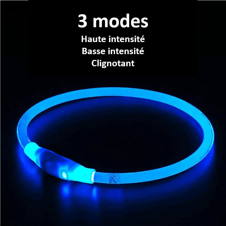 Collier à LED pour chien