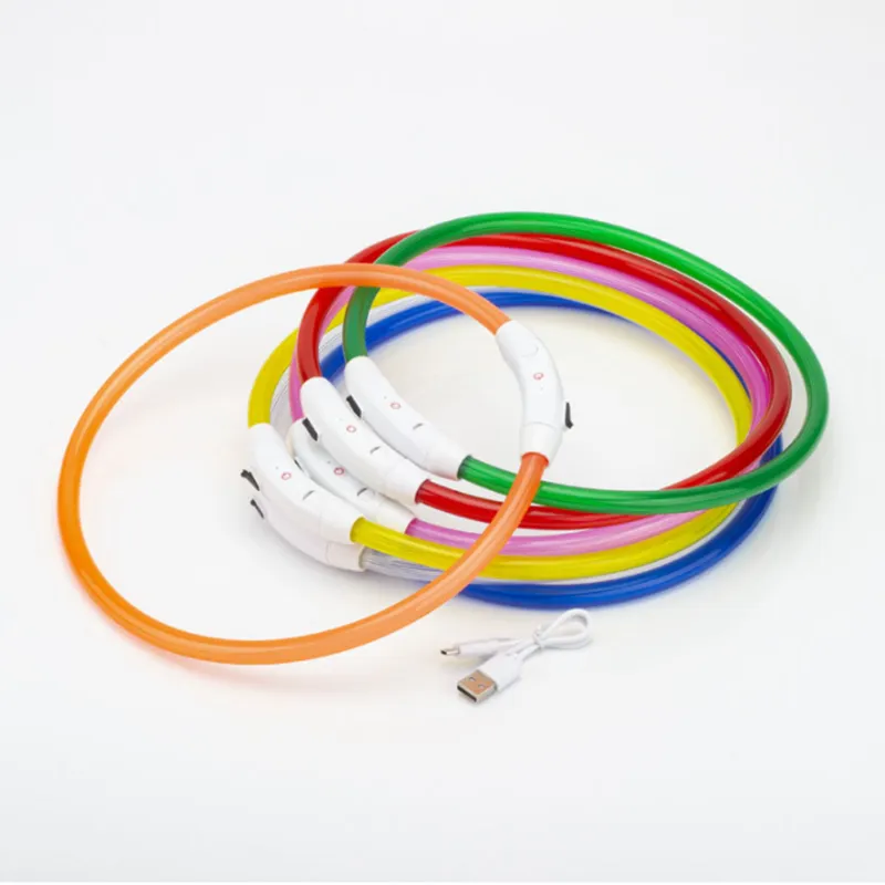 Collier à LED pour chien
