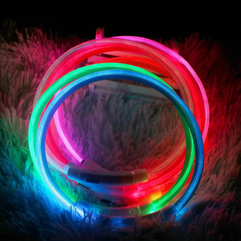 Collier à LED pour chien