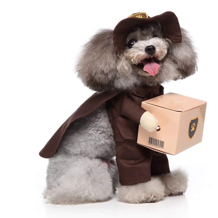 Déguisement pour chat et chien - Livreur de colis