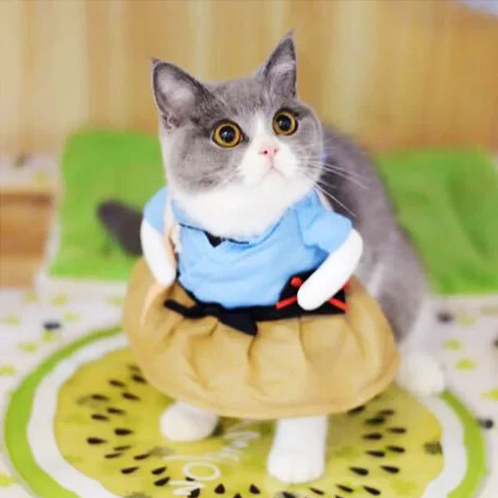 Déguisement pour chat et chien - Samouraï
