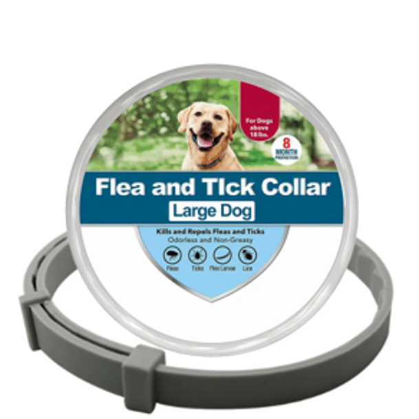 Collier anti-puces et anti-tiques pour chien et chat