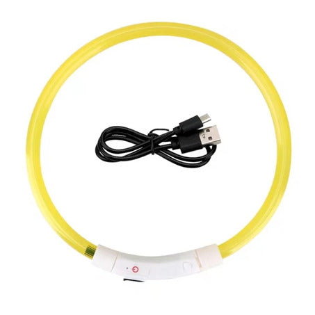Collier à LED pour chien