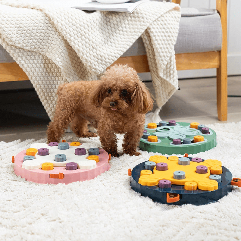 Puzzle de fouille interactif pour chien et chat