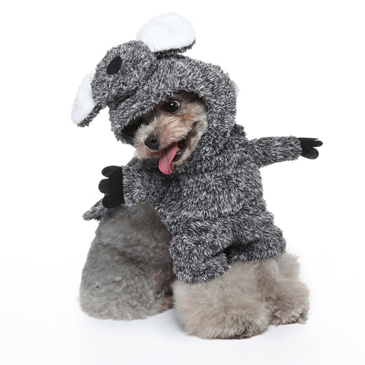 Déguisement pour chat et chien - Koala