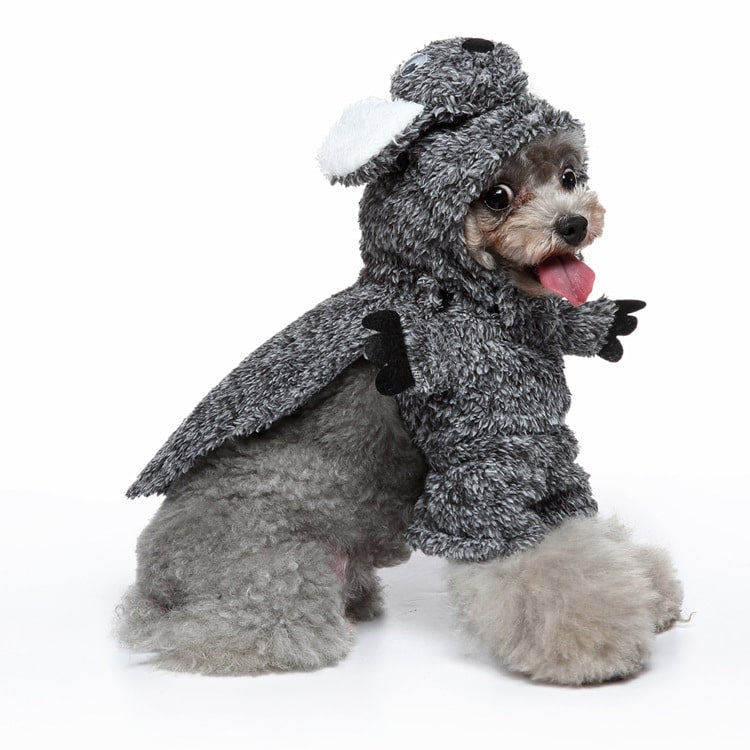 Déguisement pour chat et chien - Koala