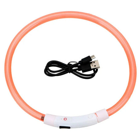 Collier à LED pour chien