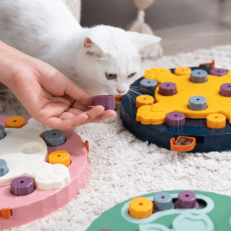 Puzzle de fouille interactif pour chien et chat