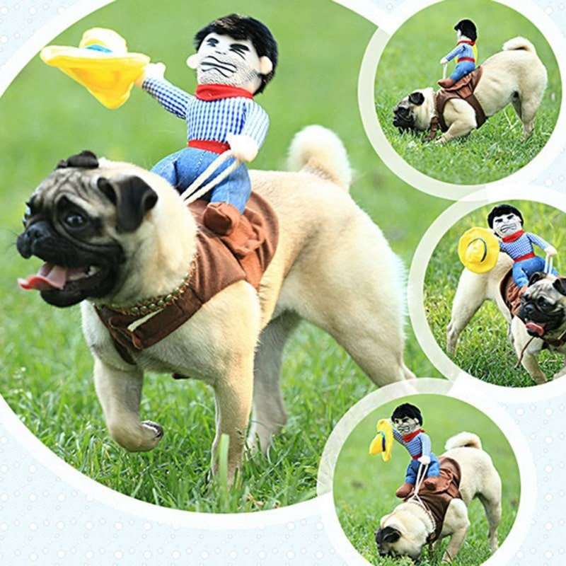 Déguisement pour chat et chien - Rodéo
