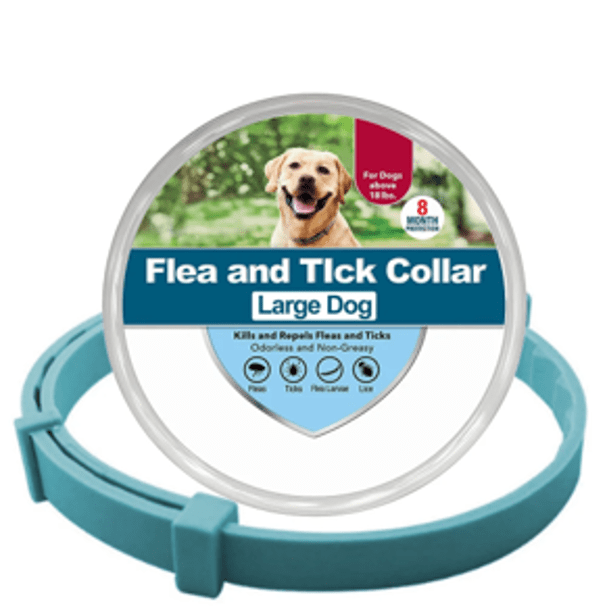 Collier anti-puces et anti-tiques pour chien et chat