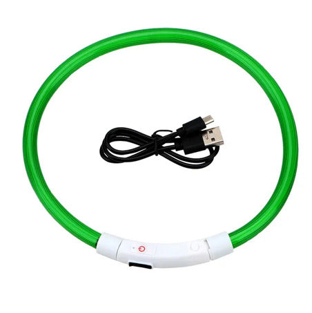 Collier à LED pour chien