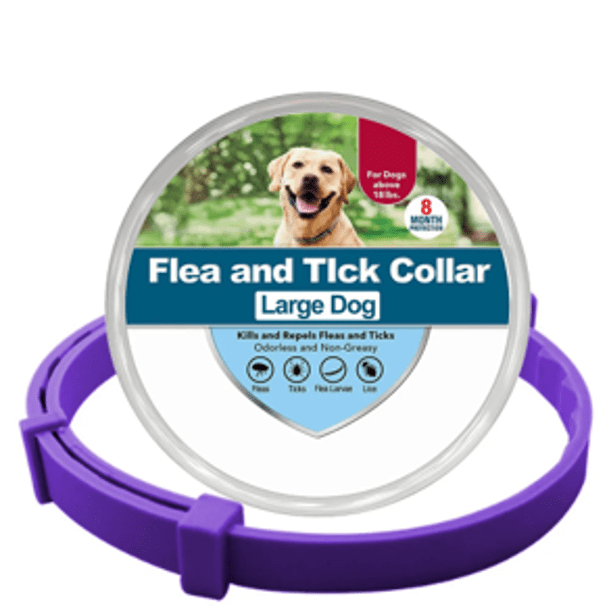 Collier anti-puces et anti-tiques pour chien et chat