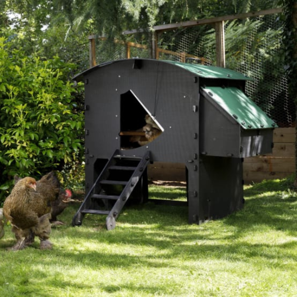 Poulailler Penthouse Large 8 poules