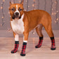 Chaussons antidérapantes carreaux pour chien