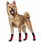 Chaussons antidérapantes carreaux pour chien