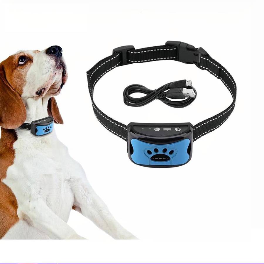Collier anti-aboiement motif patte chien
