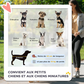 Poussette pour Chien - 4 Roues Pivotantes