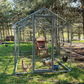 Enclos Poulailler 8m² Tubes 32mm H2,25m - Parc Grillagé Renforcé 4x2m - Acier Galvanisé
