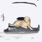 Filet extensible de siège de voiture pour chien