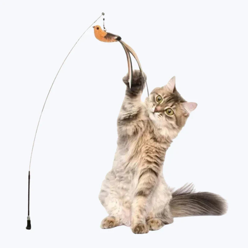 Jouet à plume pour chat