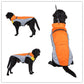 Veste polaire imperméable bicolore