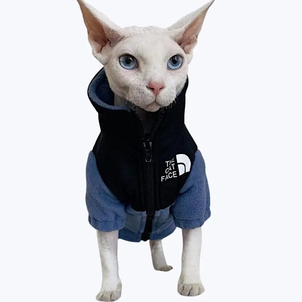 Pull chat polaire
