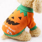 Pull halloween pour chien