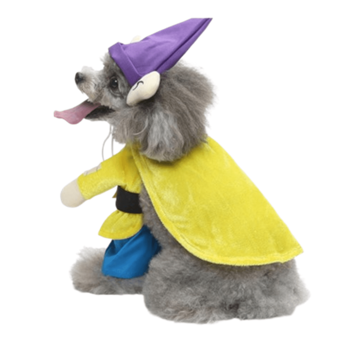 Déguisement pour chat et chien - Simplet