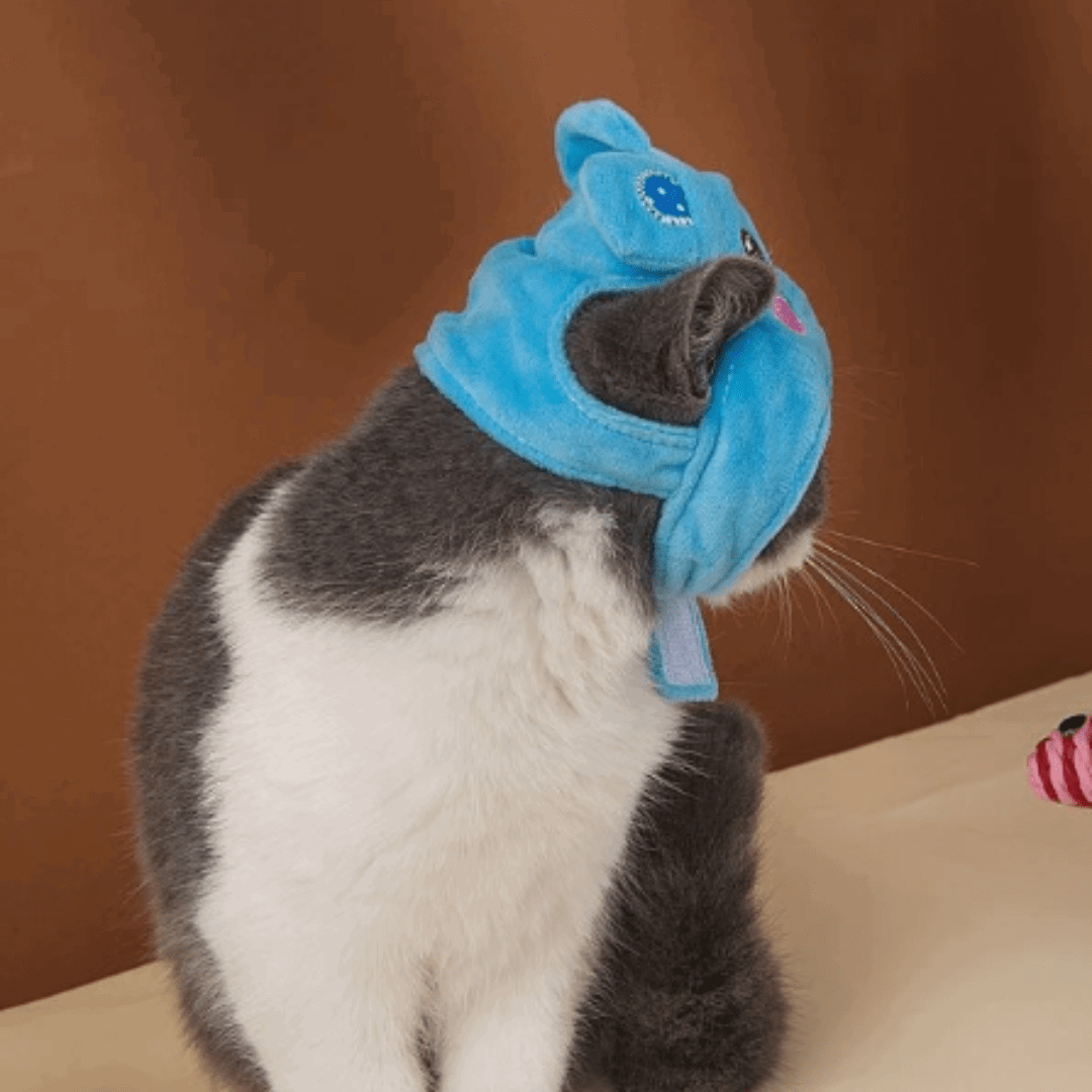 Chapeau en forme d'animal pour chat