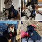 Déguisement pour chat et chien - Cape Harry Potter