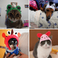 Chapeau en forme d'animal pour chat