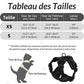 Harnais chat anti-fugue