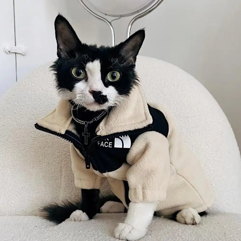 Pull chat polaire