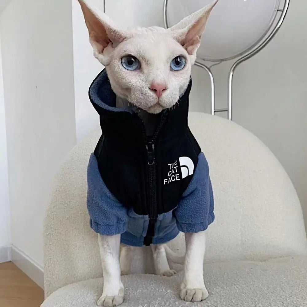 Pull chat polaire