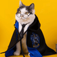 Déguisement pour chat et chien - Cape Harry Potter