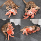 Jouet interactif pour animaux - Ecrevisse