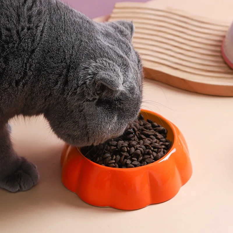 Petite gamelle en céramique pour chien et chat : Edition fruits