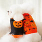 Pull Halloween pour chien et chat