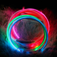 Collier à LED pour chien