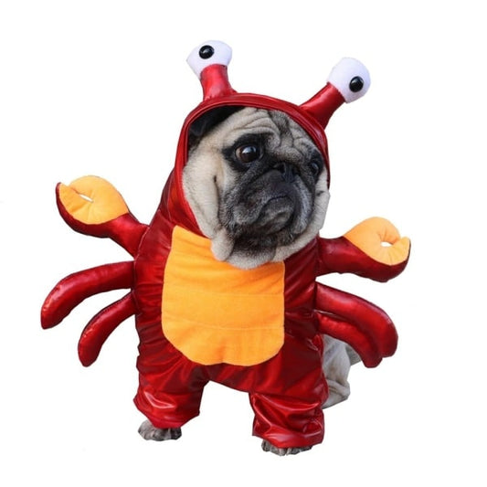 Déguisement pour chat et chien - Crabe