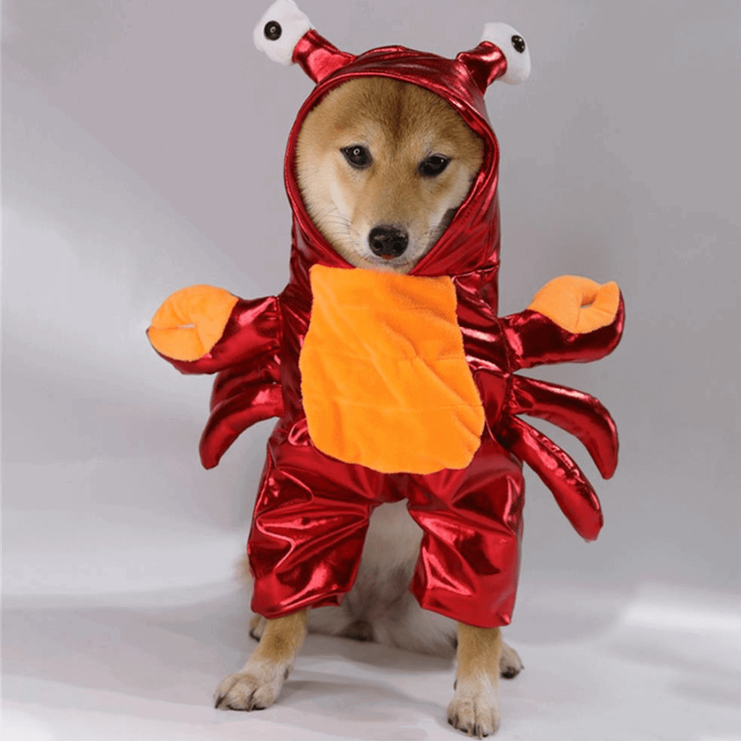 Déguisement pour chat et chien - Crabe
