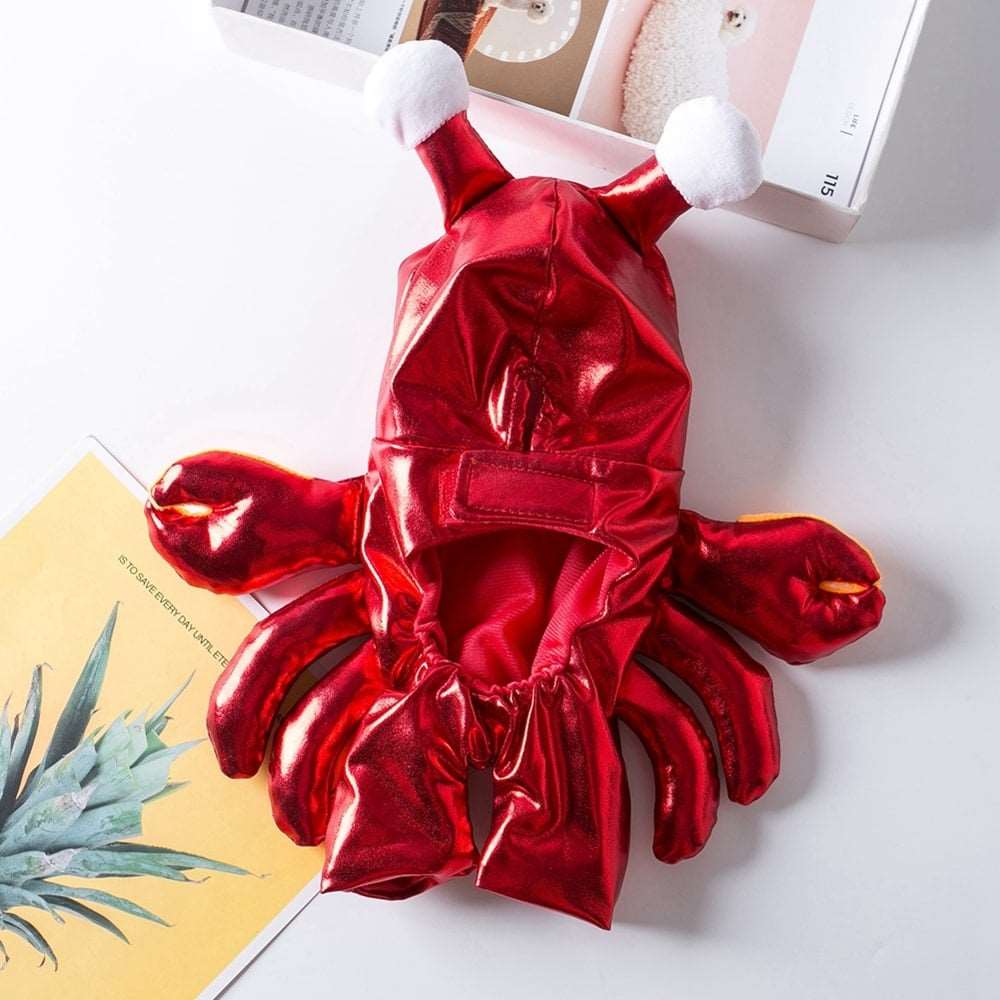 Déguisement pour chat et chien - Crabe