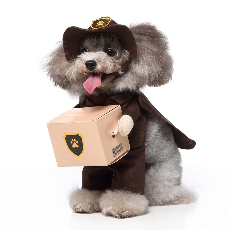 Déguisement pour chat et chien - Livreur de colis