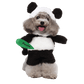 Déguisement pour chat et chien - Panda